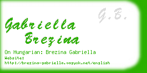 gabriella brezina business card